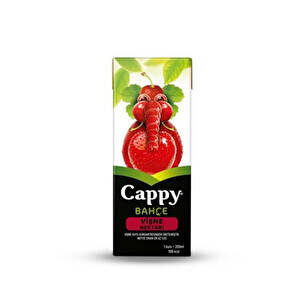 Cappy Visneli Içecek 200 ml - 1