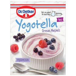 Dr.Oetker Yogotella Orman Meyveli 69 gr - 1