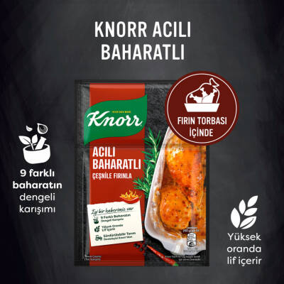 Knorr Fırında Tavuk Çeşnisi Acılı Baharatlı 31 G - 2
